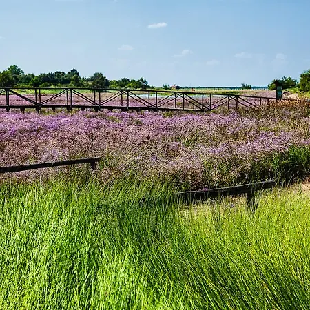 Pagoda شقة روسولينا ماري