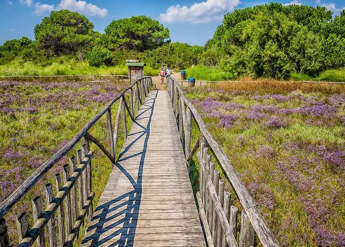Pagoda * روسولينا ماري