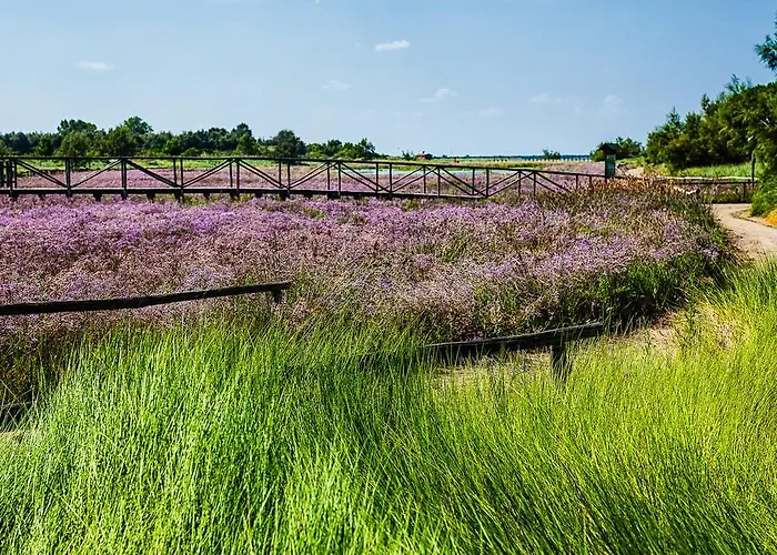 Pagoda شقة روسولينا ماري